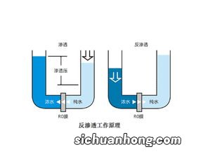 超滤和反渗透的区别