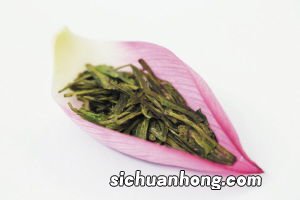 茶叶荷怎么用