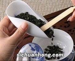 茶叶荷怎么用