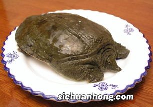 甲鱼死了可以食用吗