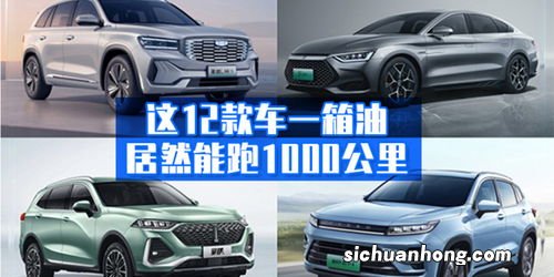 一天跑1000公里伤车吗