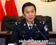 省公安厅长是什么级