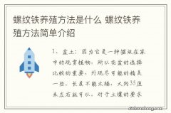 螺纹铁养殖方法是什么 螺纹铁养殖方法简单介绍