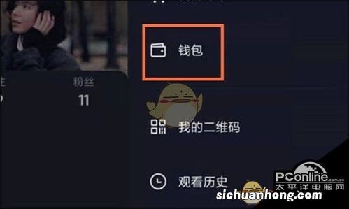 抖音抖币的明细怎么看