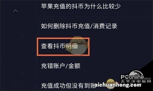 抖音抖币的明细怎么看