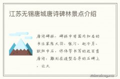 江苏无锡唐城唐诗碑林景点介绍