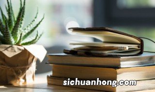 人道主义是什么意思 人道主义的释义