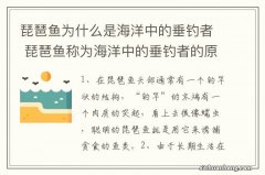 琵琶鱼为什么是海洋中的垂钓者 琵琶鱼称为海洋中的垂钓者的原因