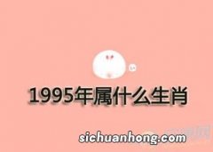 95年属什么生肖配对