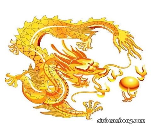 龙和什么属相配