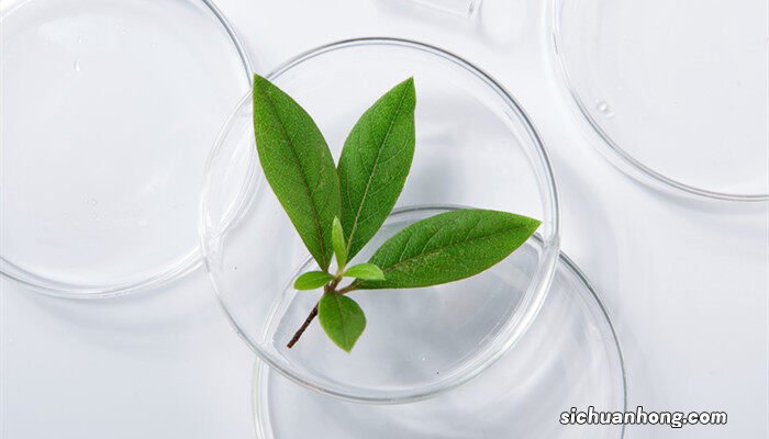 碱性水怎么调节酸性水 碱性水怎么调节为酸性