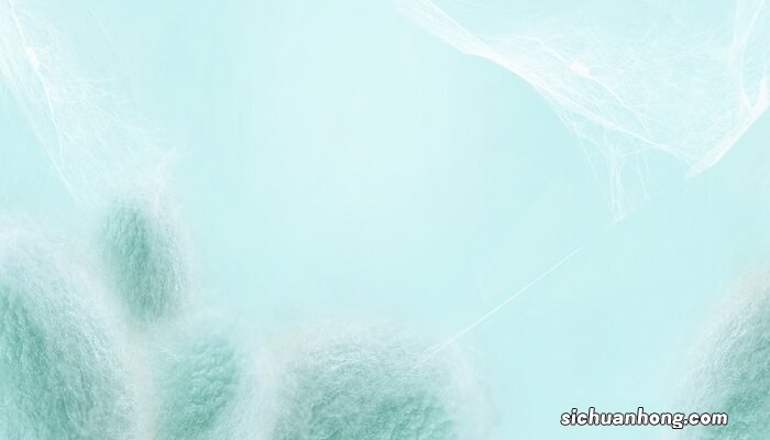 蚕宝宝吃什么食物图片 蚕宝宝吃什么食物