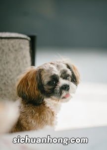 发怒的巨蟹座多可怕