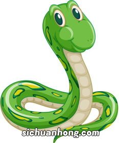 属蛇的今年运程