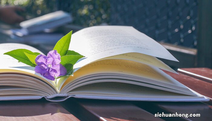 紫茉莉的种植方法和时间 紫茉莉的种植方法