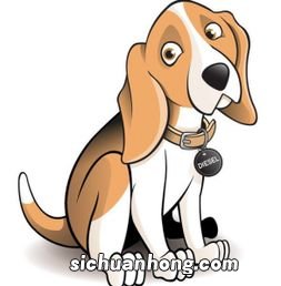 94年属狗男的爱情运势