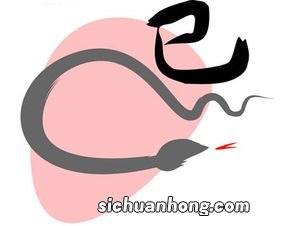 属兔和属蛇的合不合