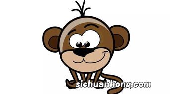 属狗和属兔的合不合