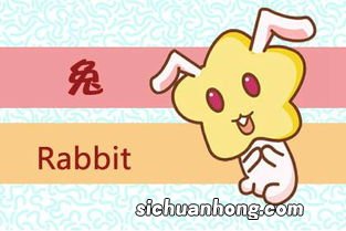 属狗和属兔的合不合