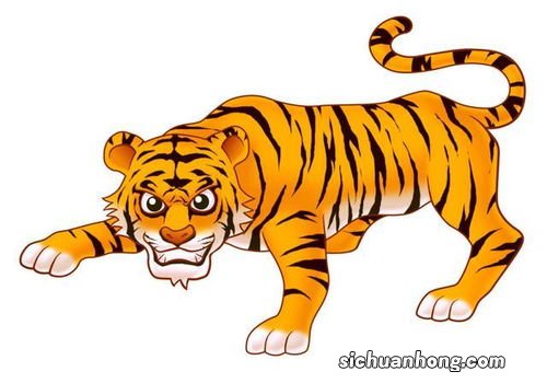 寅虎和什么相冲