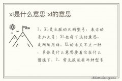 xl是什么意思 xl的意思