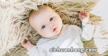 牛爸爸和猪宝宝相冲吗