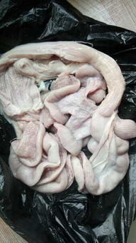 猪卷肠怎么做好吃吗