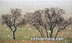 梦见白雪铺满地是什么征兆