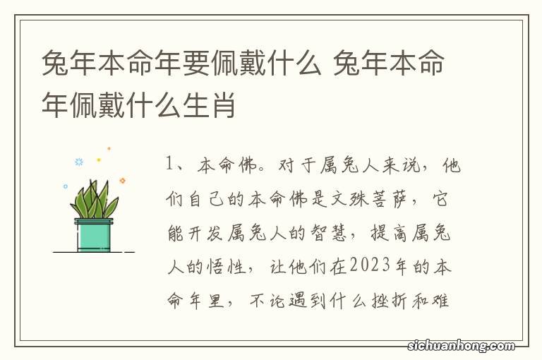兔年本命年要佩戴什么 兔年本命年佩戴什么生肖