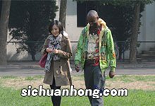 我为太极狂的演员 我为太极狂剧情介绍