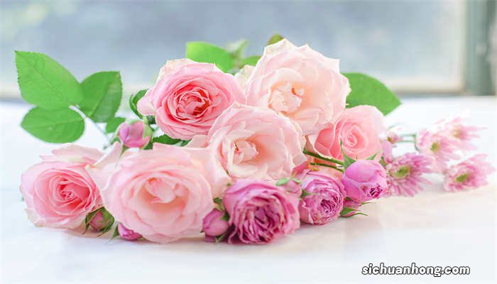 鲜花怎么做成干花保持颜色 鲜花怎么做成干花