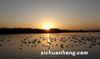 三门峡景区有哪些景点 三门峡景区好景点介绍