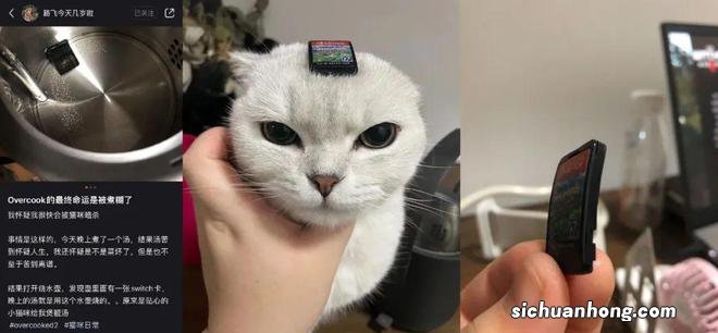 《艾尔登法环》免费更新斗技场 / 《刺客信条:英灵殿》登陆Steam