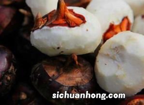 肝脏有火吃什么能降火