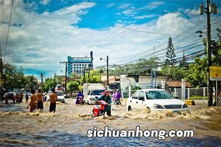 梦见下雨涨水什么意思