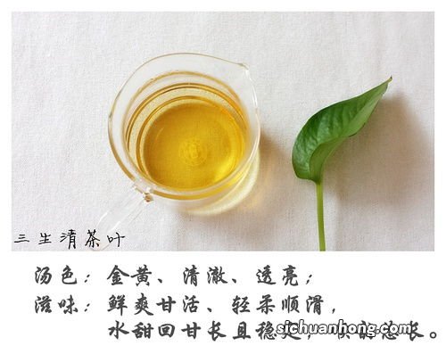 野茶怎么泡