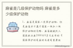 麻雀是几级保护动物吗 麻雀是多少级保护动物