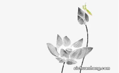 马和龙属相合不合