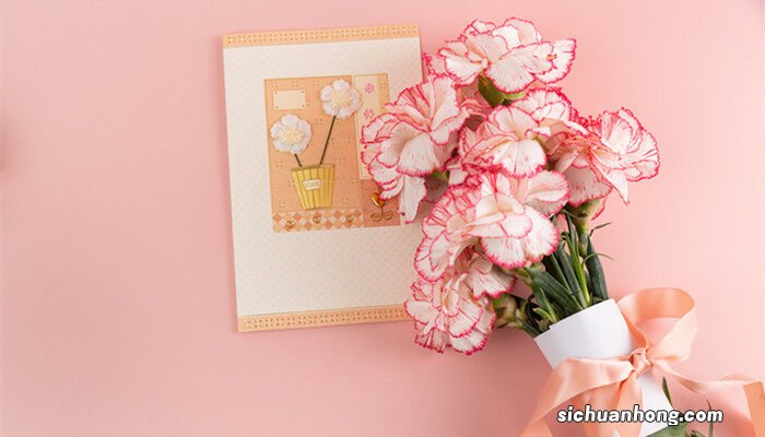 康乃馨花期多长时间 康乃馨花期