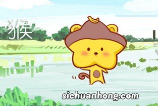 属羊和属猴的合不合