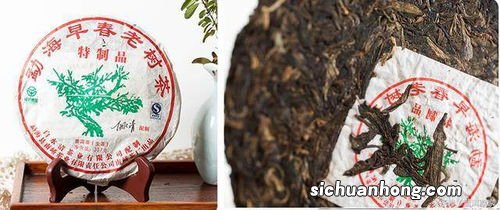 勐海真味茶饼怎么样