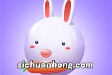 卯兔是什么意思