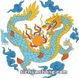 男属虎女属龙相配吗