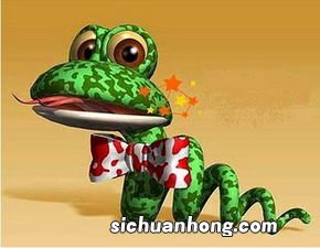 属蛇的年份有哪些