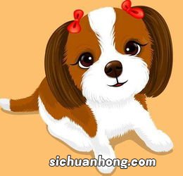 属狗的年份有哪些