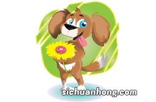 1994年属狗的男孩婚配