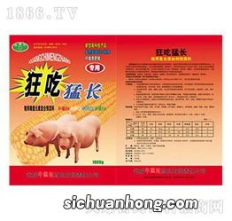 吃什么能健脾健胃