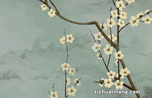 属蛇每月份出生的命运