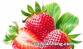 草莓种植周期和注意事项 草莓种植的注意事项有什么