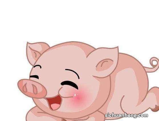 属龙和属猪的合不合